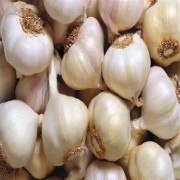  快速剥蒜法：物理冲击效率高​