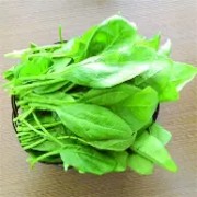 OIP-C (1)(4).jpg OIP-C (1)(4).jpg