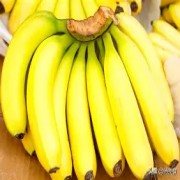 OIP-C (3).jpg OIP-C (3).jpg