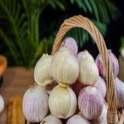 增强免疫的"天然抗生素":大蒜