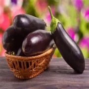 OIP-C (1).jpg OIP-C (1).jpg