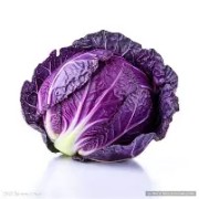 OIP-C (2)(1).jpg OIP-C (2)(1).jpg