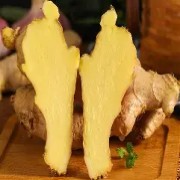 增强免疫的"天然抗生素"：生姜