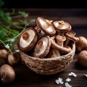 OIP-C (2)(1).jpg OIP-C (2)(1).jpg