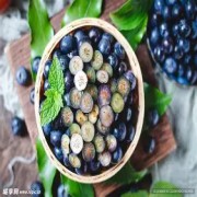 保护视力的"黄金果实"：蓝莓