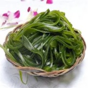 OIP-C (1)(1).jpg OIP-C (1)(1).jpg