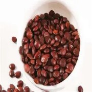 OIP-C (1)(2).jpg OIP-C (1)(2).jpg