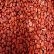 OIP-C (2)(1).jpg OIP-C (2)(1).jpg