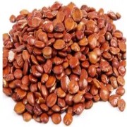  改善睡眠的"天然安神剂"：酸枣仁