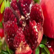 OIP-C(3).jpg OIP-C(3).jpg