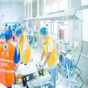 OIP-C(8).jpg OIP-C(8).jpg