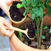 OIP-C (1)(1).jpg OIP-C (1)(1).jpg