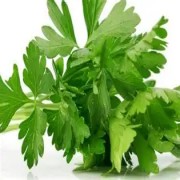 OIP-C (1)(3).jpg OIP-C (1)(3).jpg