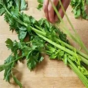 OIP-C (3)(1).jpg OIP-C (3)(1).jpg