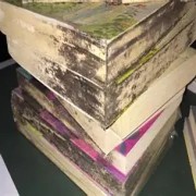 OIP-C (1)(2).jpg OIP-C (1)(2).jpg