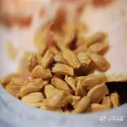 OIP-C (1)(6).jpg OIP-C (1)(6).jpg