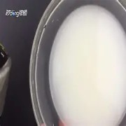 下载(4).jpg 下载(4).jpg