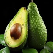 OIP-C(19).jpg OIP-C(19).jpg