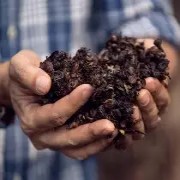 OIP-C(5).jpg OIP-C(5).jpg