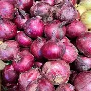 OIP-C (1)(9).jpg OIP-C (1)(9).jpg