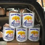 薯片筒防尘罩的结构力学优化