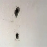 OIP-C (3)(9).jpg OIP-C (3)(9).jpg