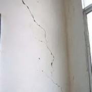 OIP-C(24).jpg OIP-C(24).jpg