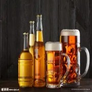 过期啤酒养护观叶植物的营养机制