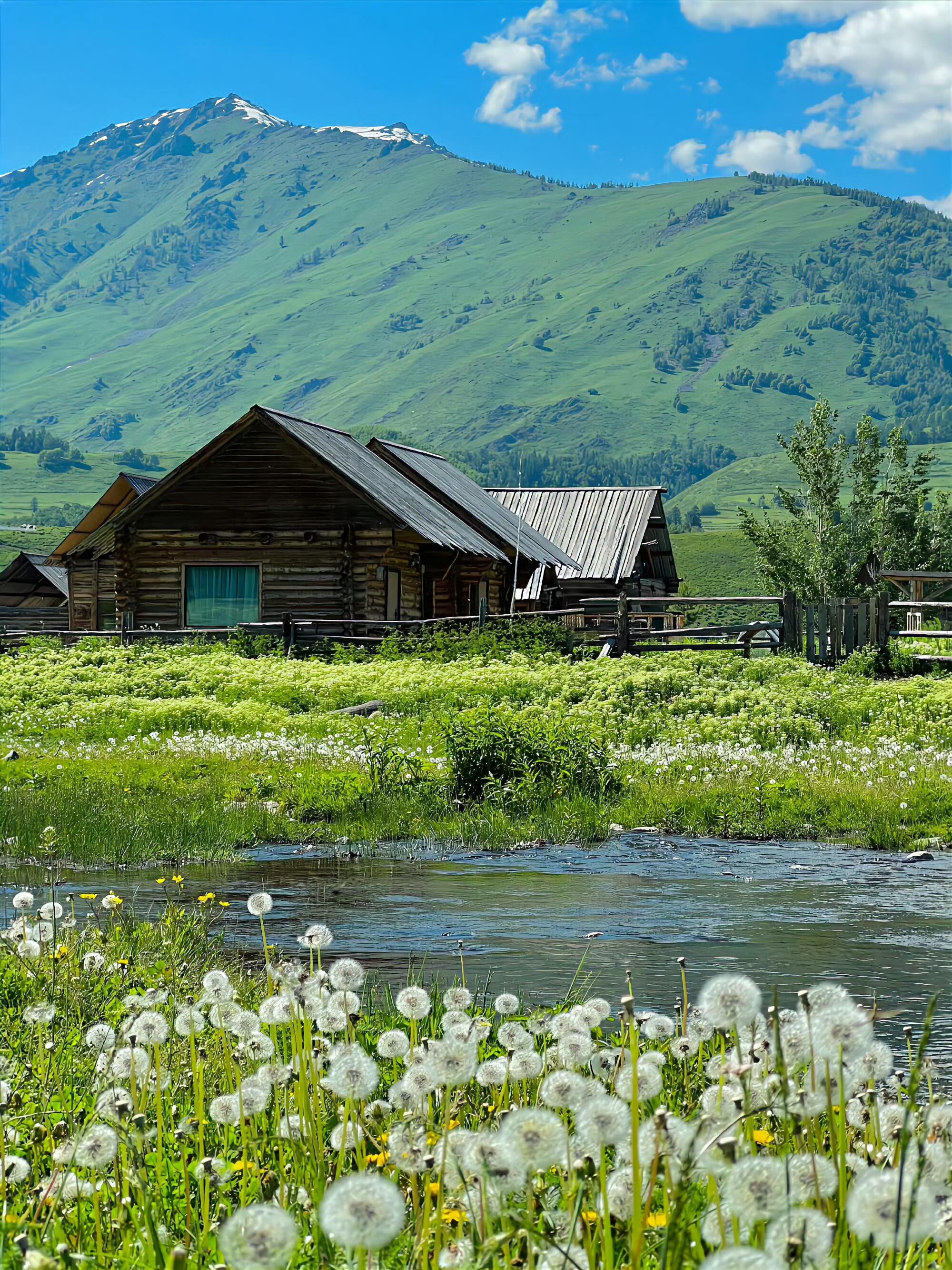 13418470187837952.jpeg 13418470187837952.jpeg