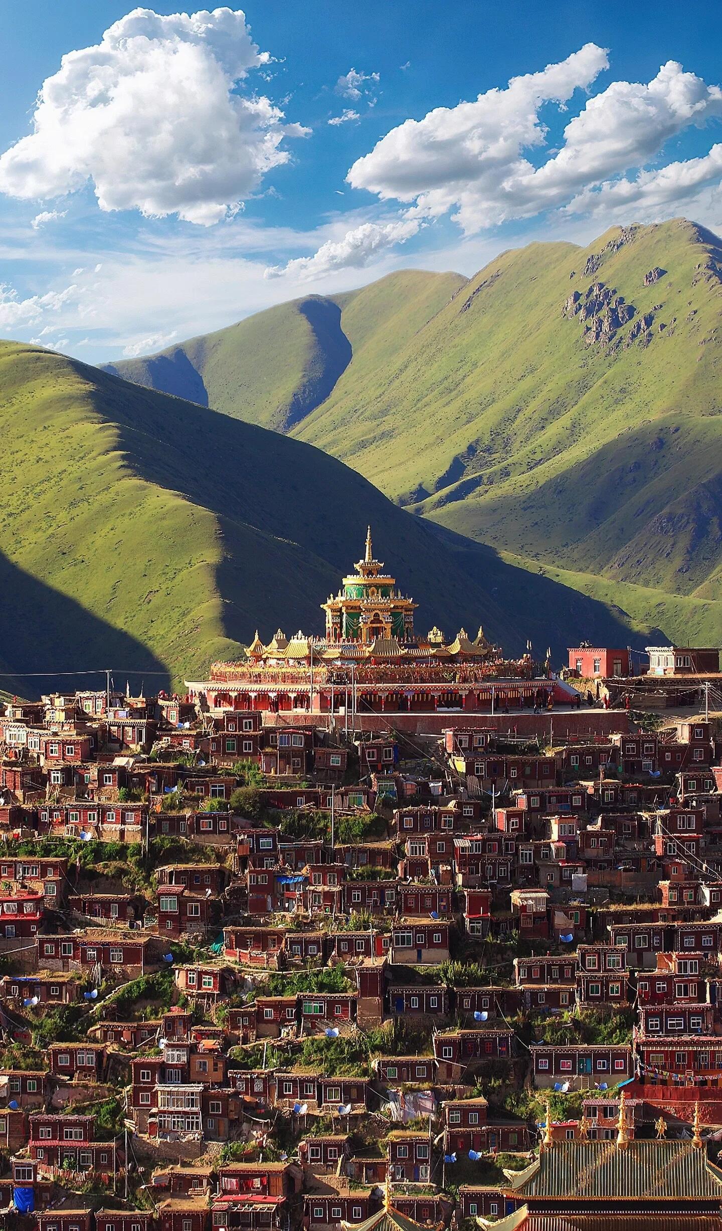 13418720006224520.jpeg 13418720006224520.jpeg