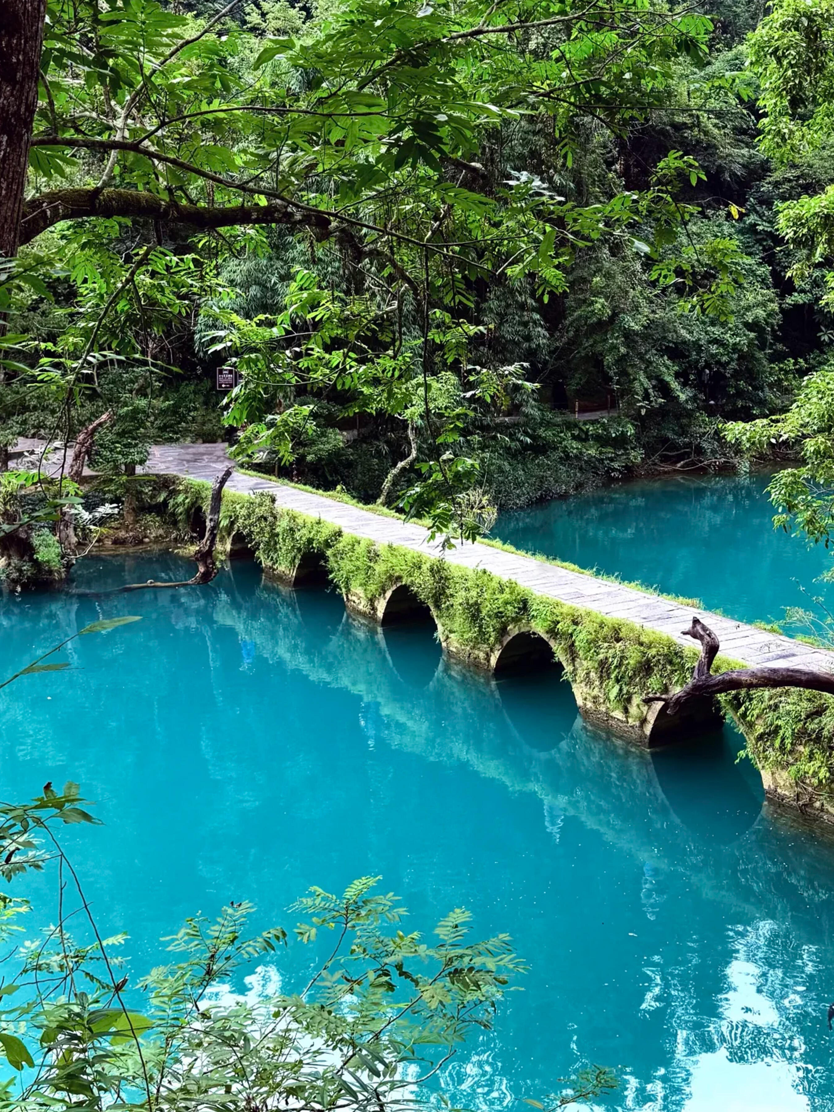 13418707450367651.jpeg 13418707450367651.jpeg