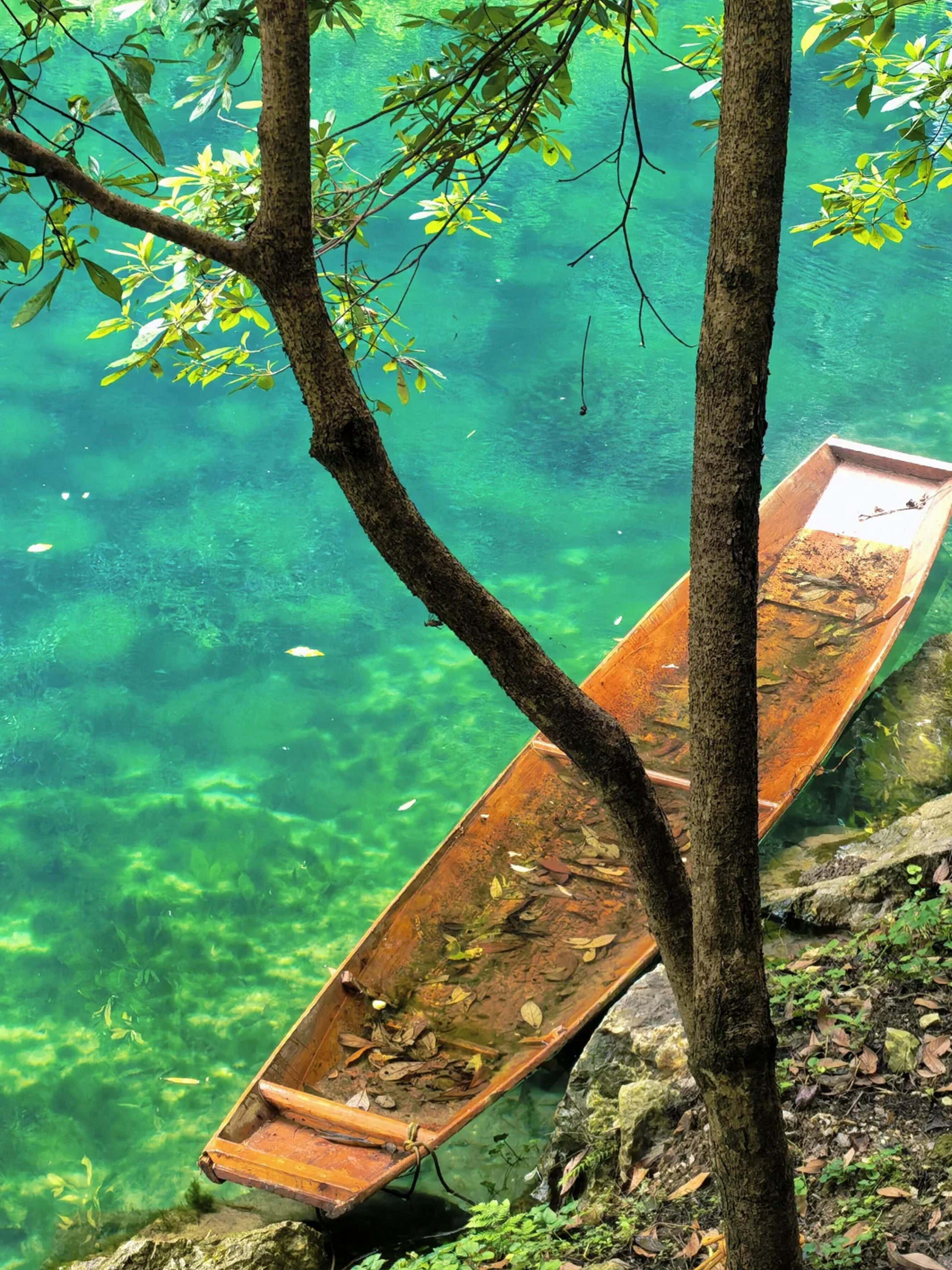 13418707463852867.jpeg 13418707463852867.jpeg