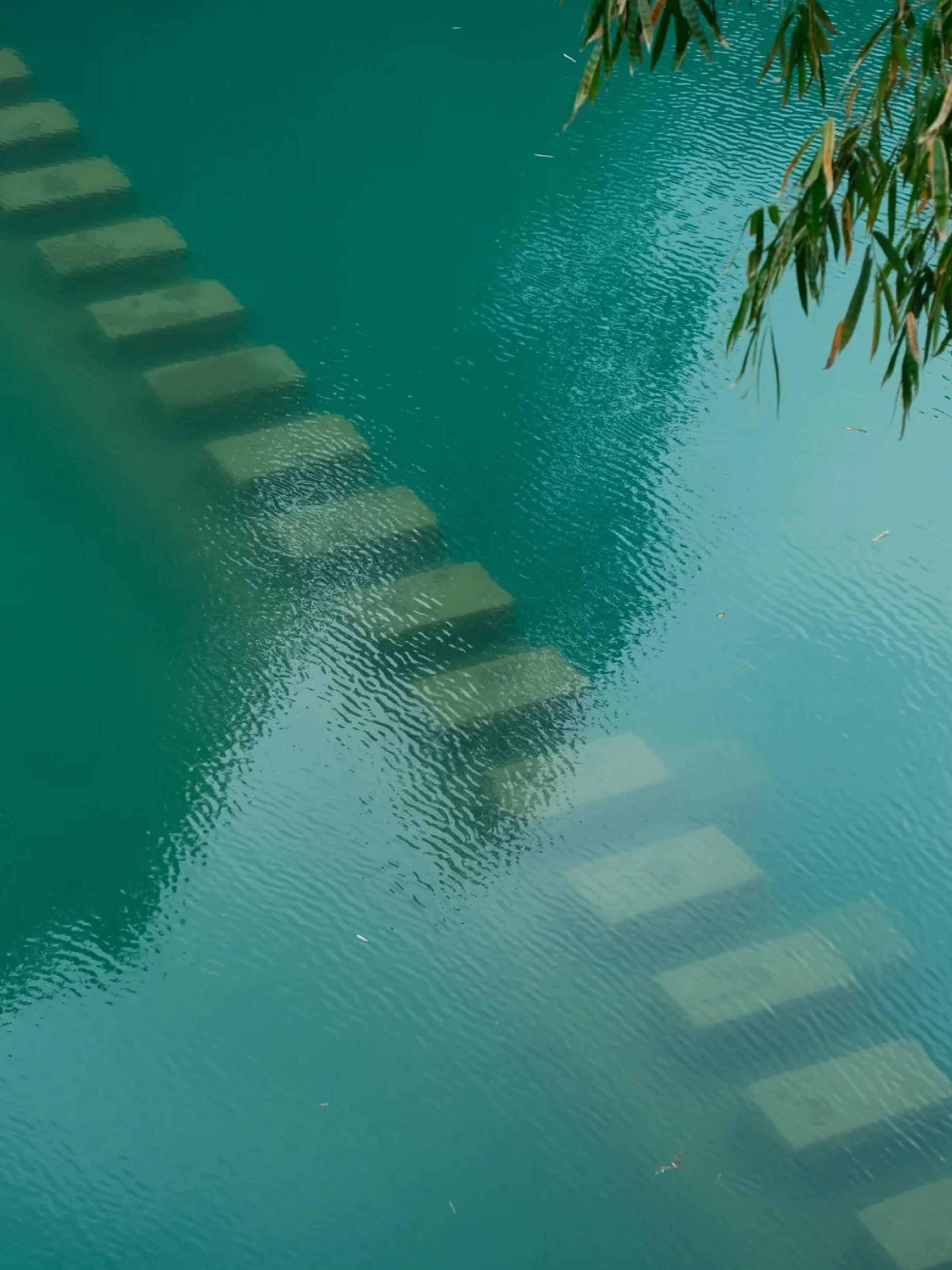 13418707470239917.jpeg 13418707470239917.jpeg