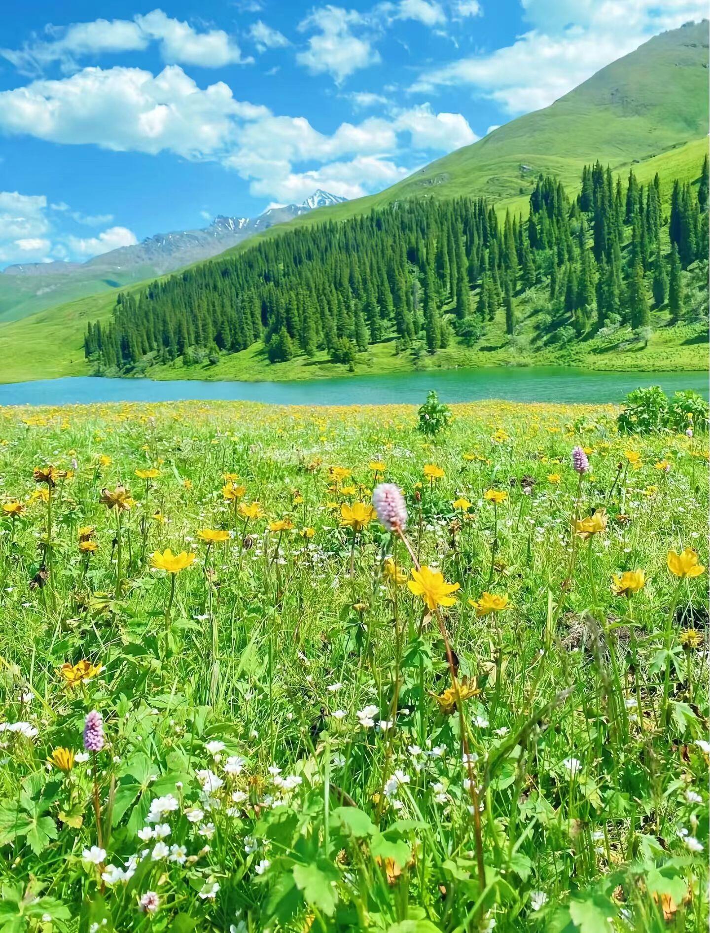 13418469196967320.jpeg 13418469196967320.jpeg