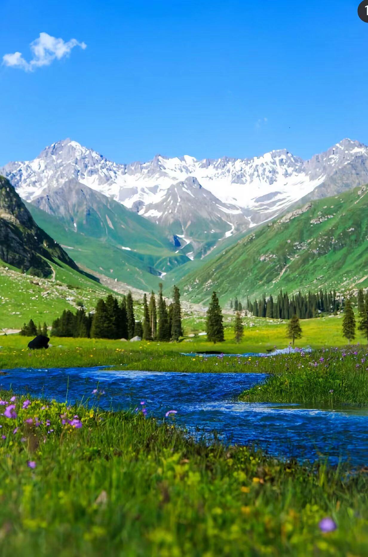 13418469222956782.jpeg 13418469222956782.jpeg