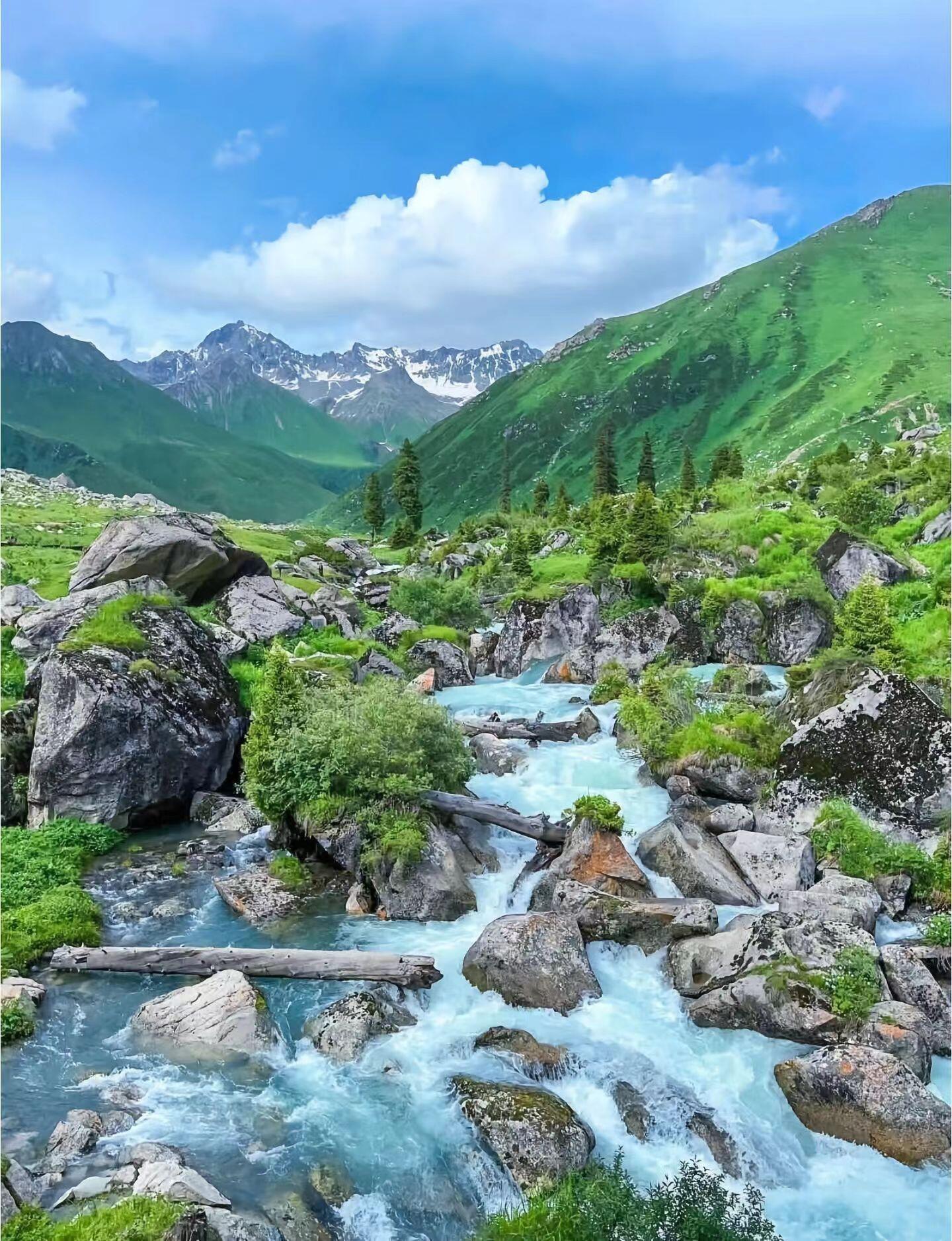 13418469233311935.jpeg 13418469233311935.jpeg