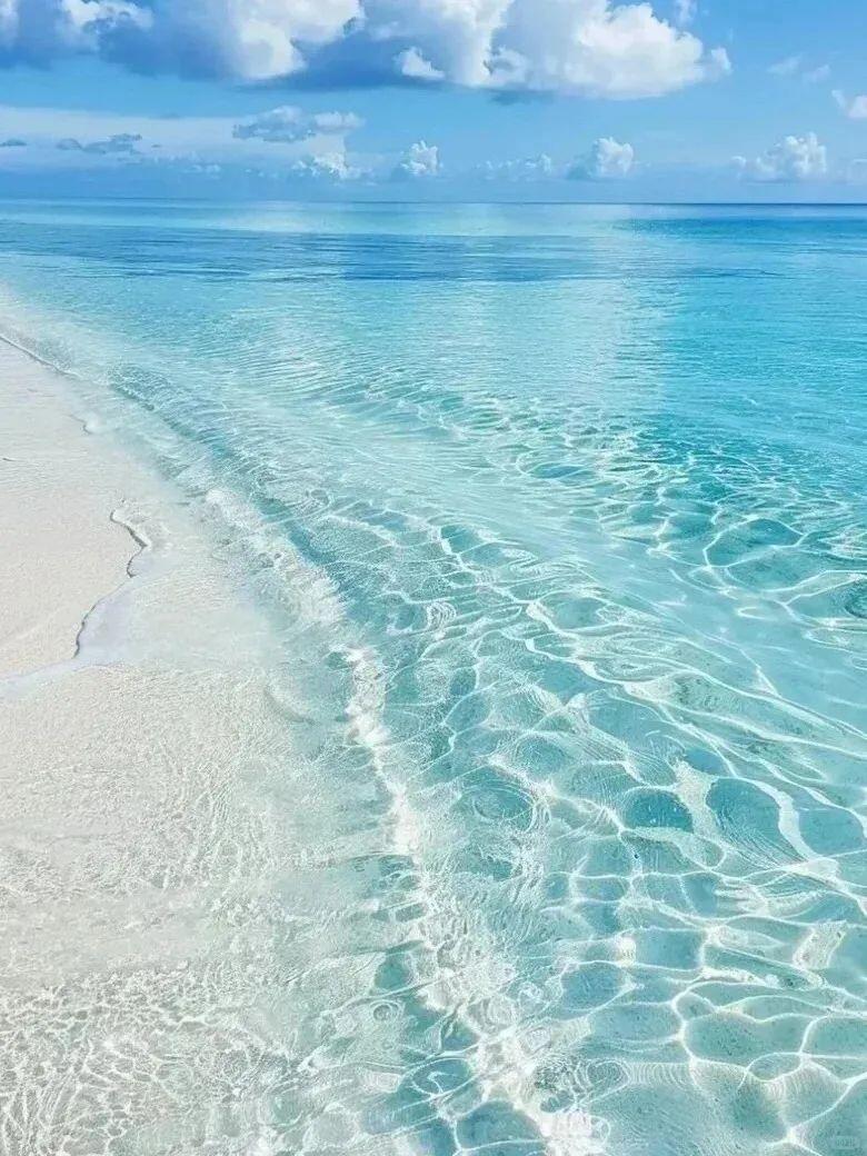 13418795866664740.jpeg 13418795866664740.jpeg