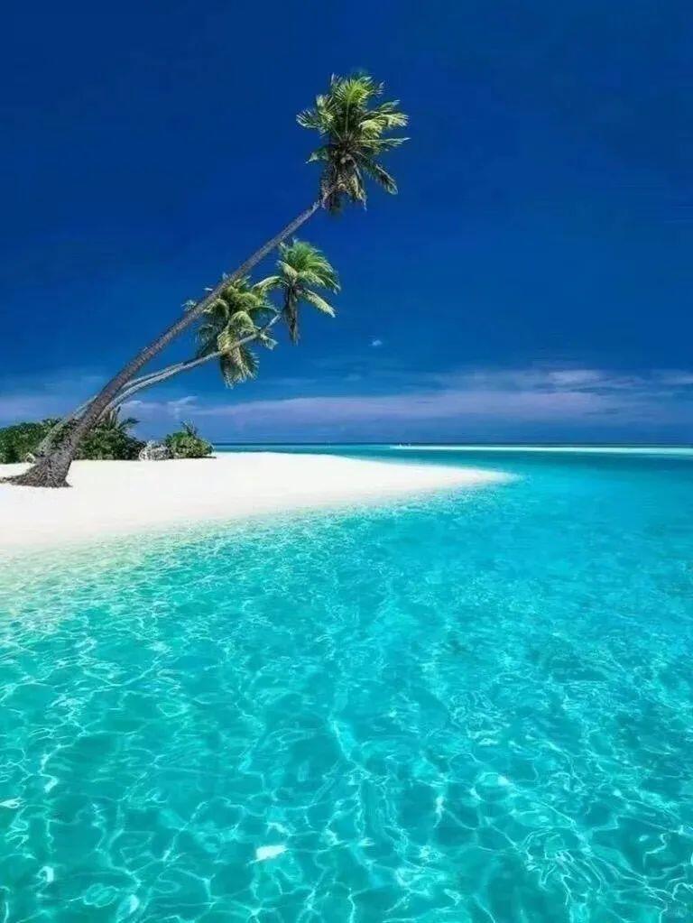 13418795881335284.jpeg 13418795881335284.jpeg