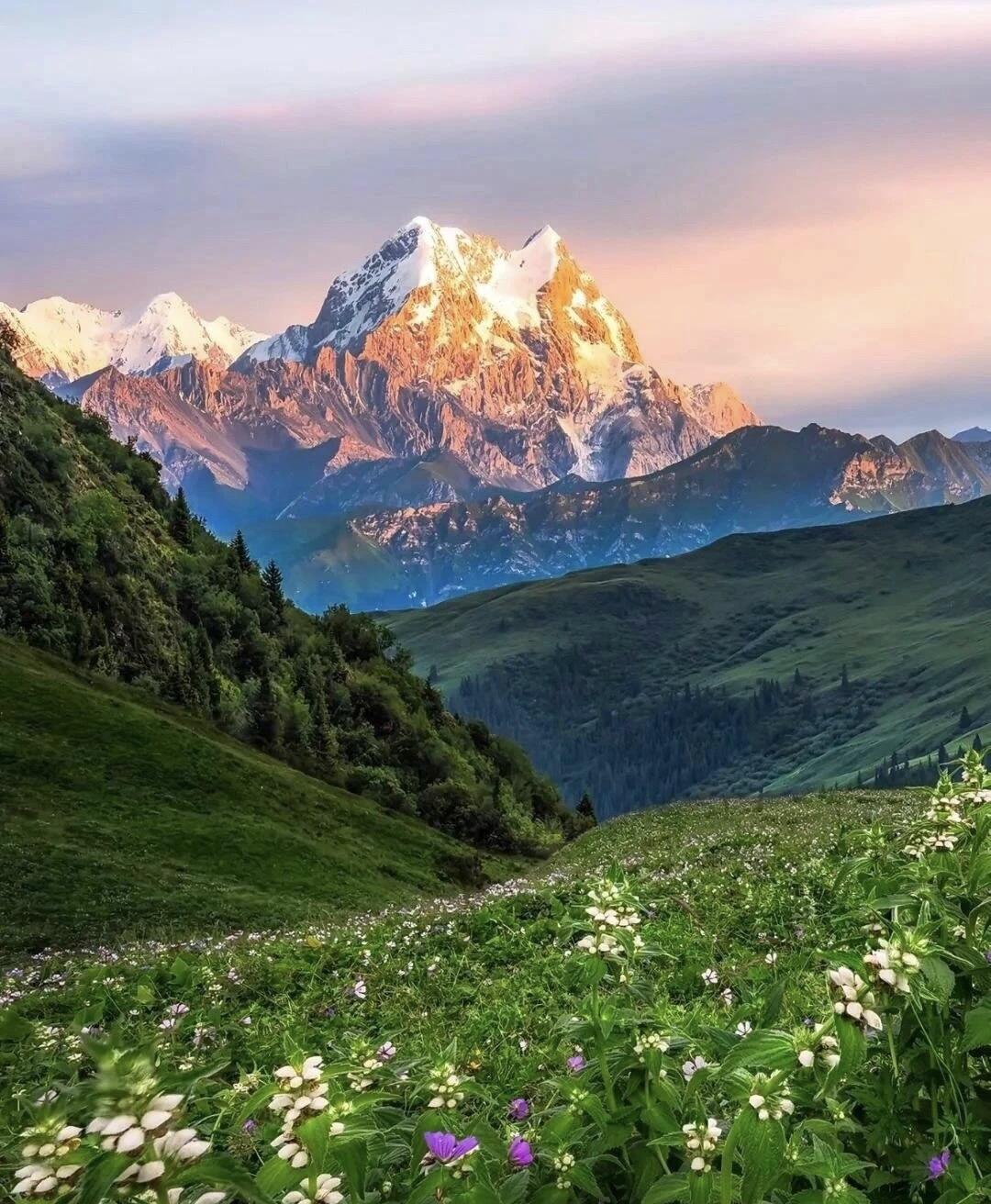 13418705358116033.jpeg 13418705358116033.jpeg