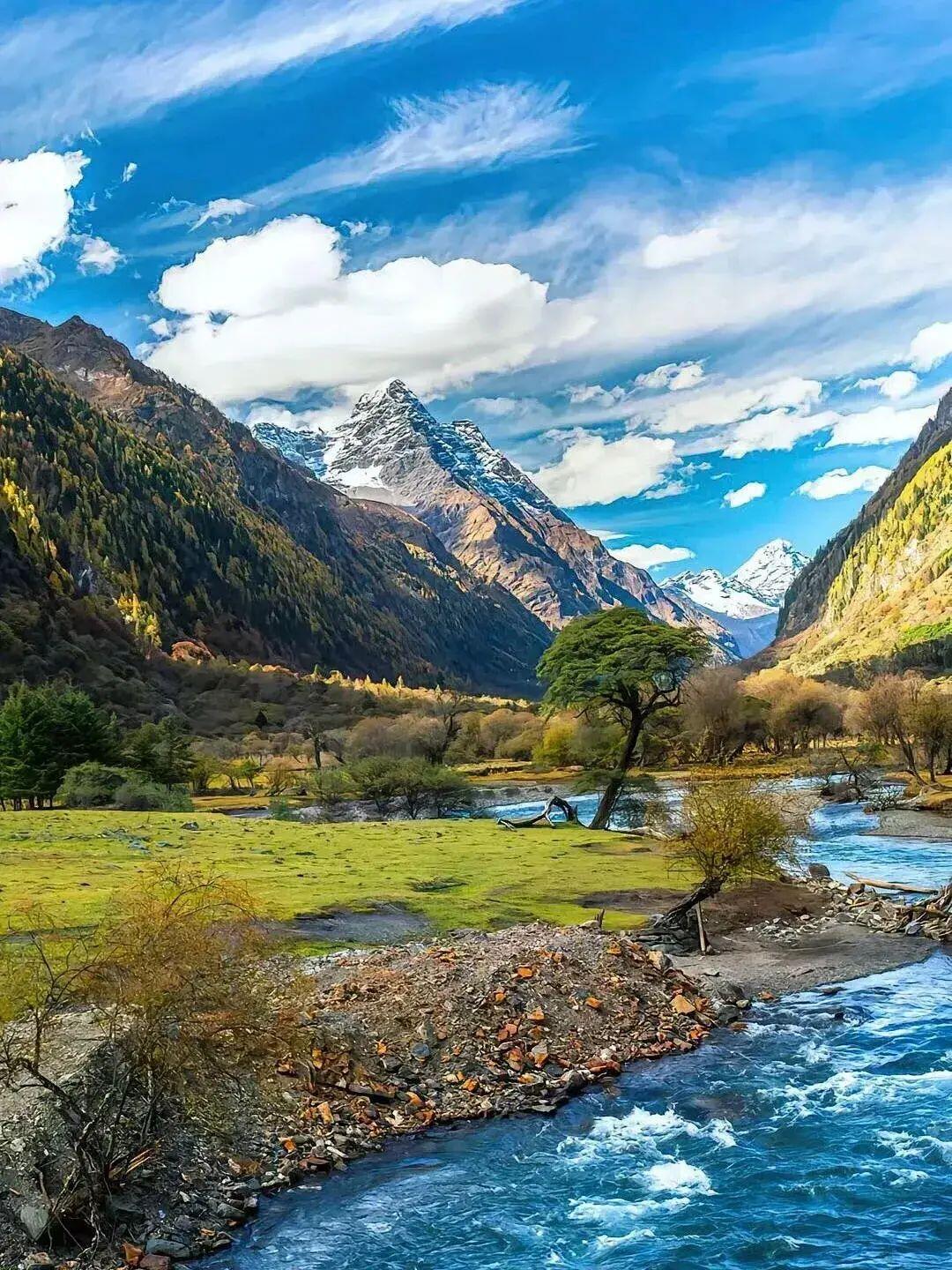 13418470590232744.jpeg 13418470590232744.jpeg