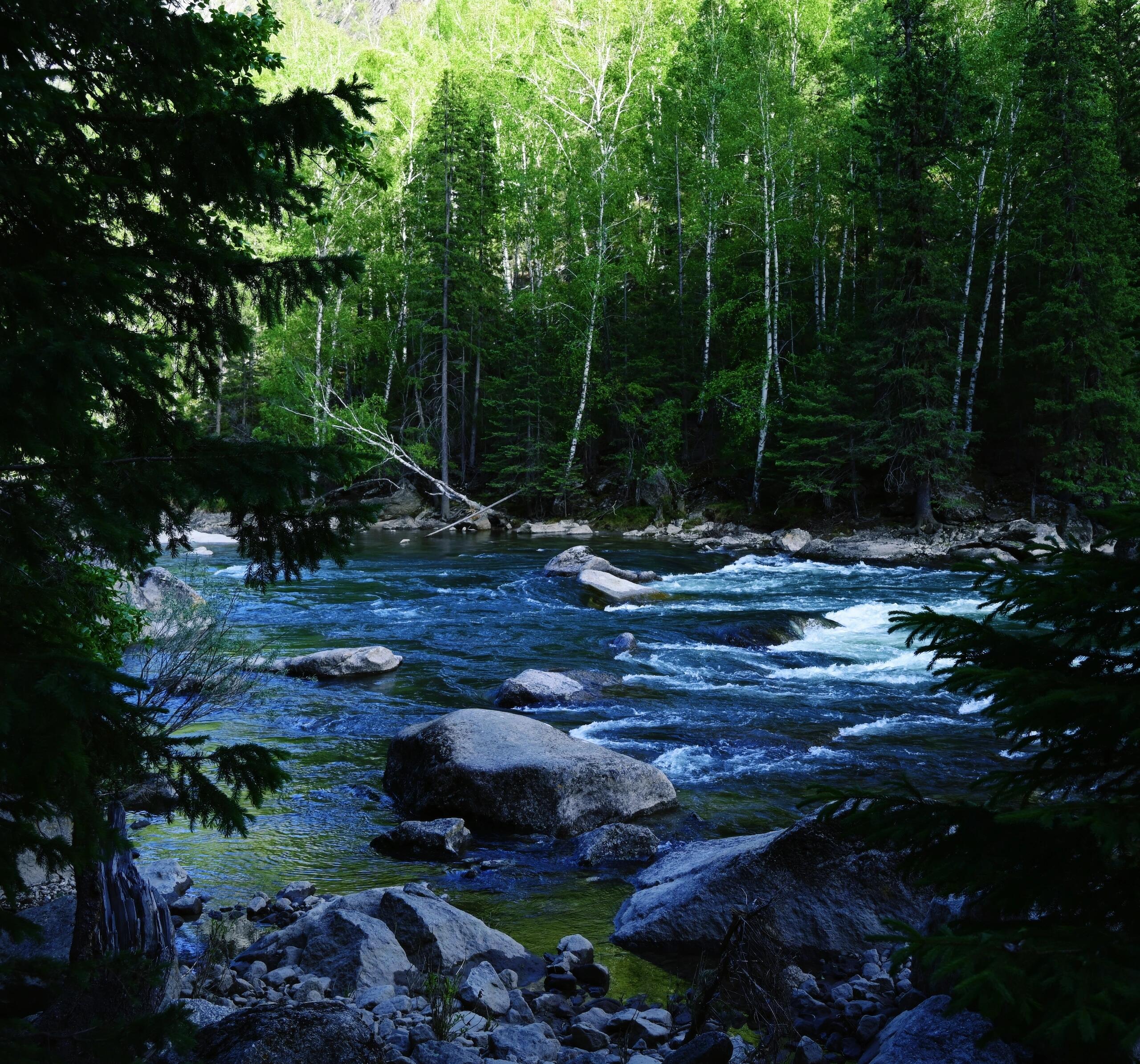 13418470621654076.jpeg 13418470621654076.jpeg