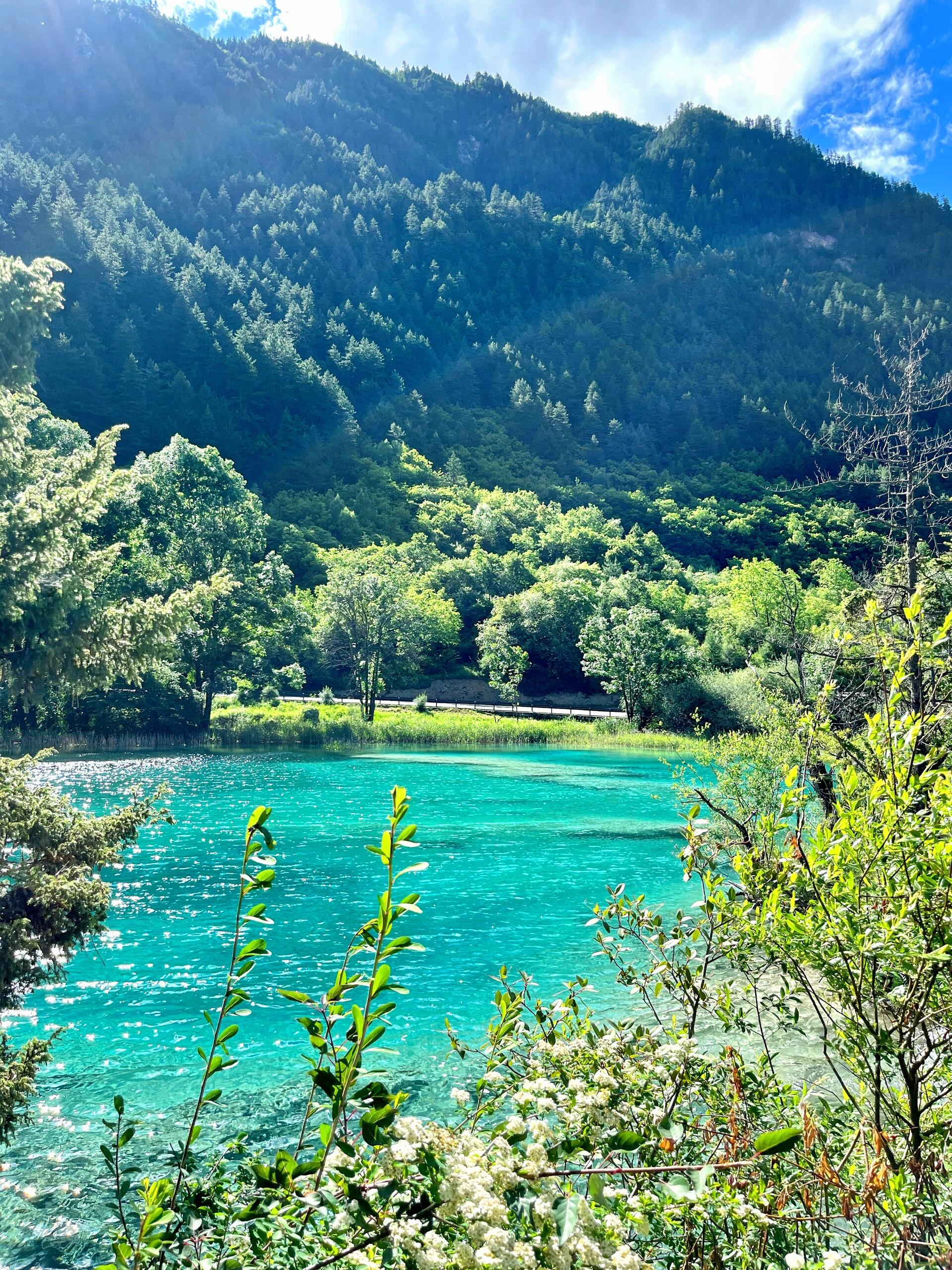 13418710524199452.jpeg 13418710524199452.jpeg