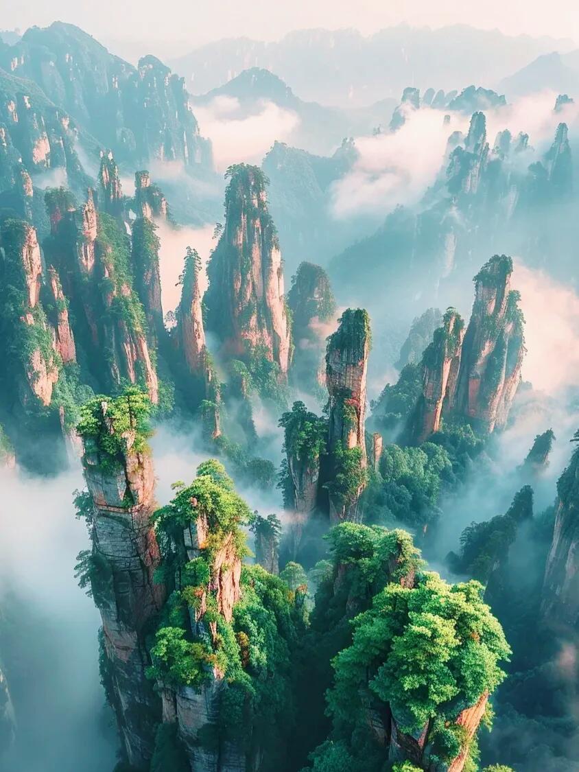 13419656919164233.jpeg 13419656919164233.jpeg