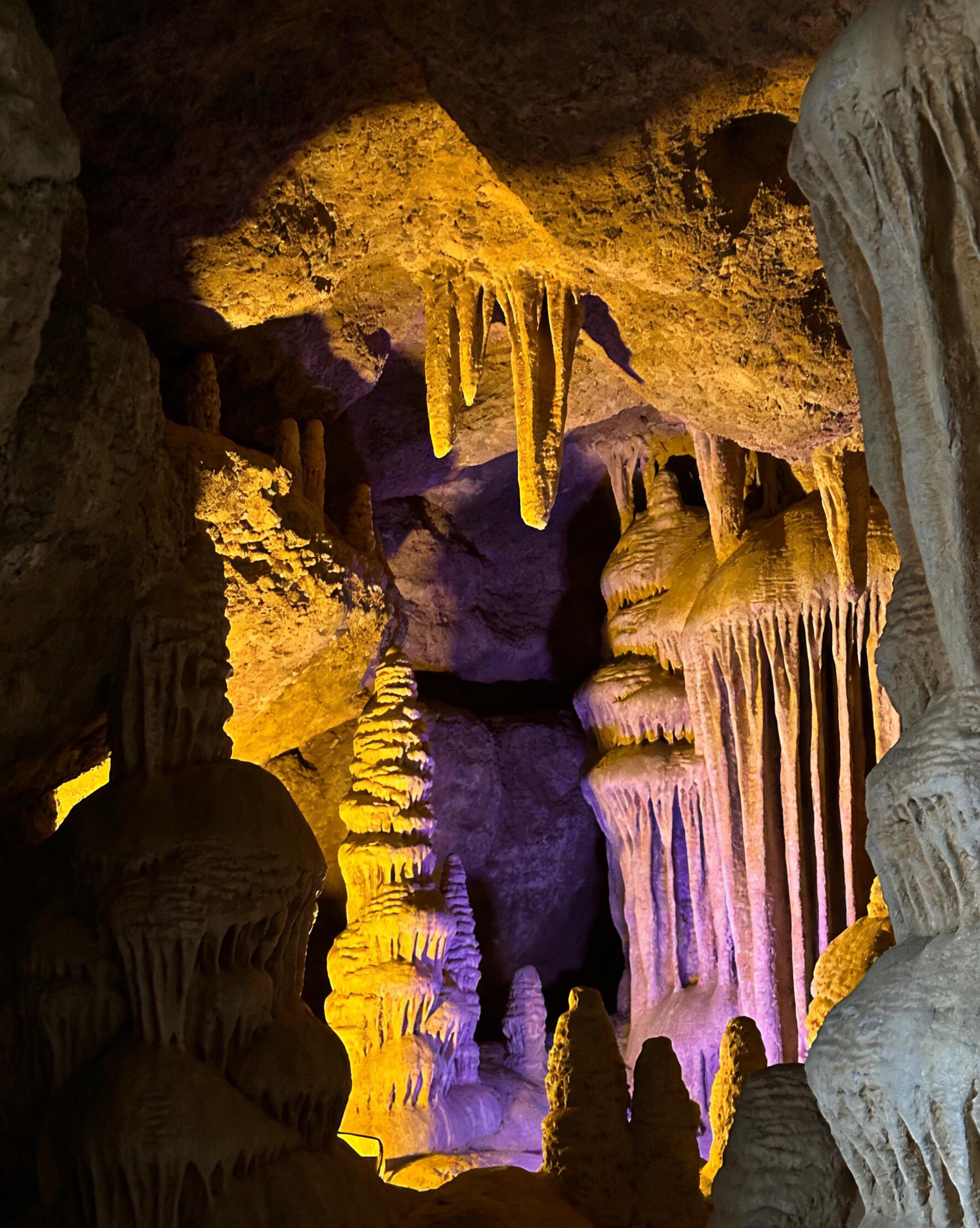 13418468297939366.jpeg 13418468297939366.jpeg