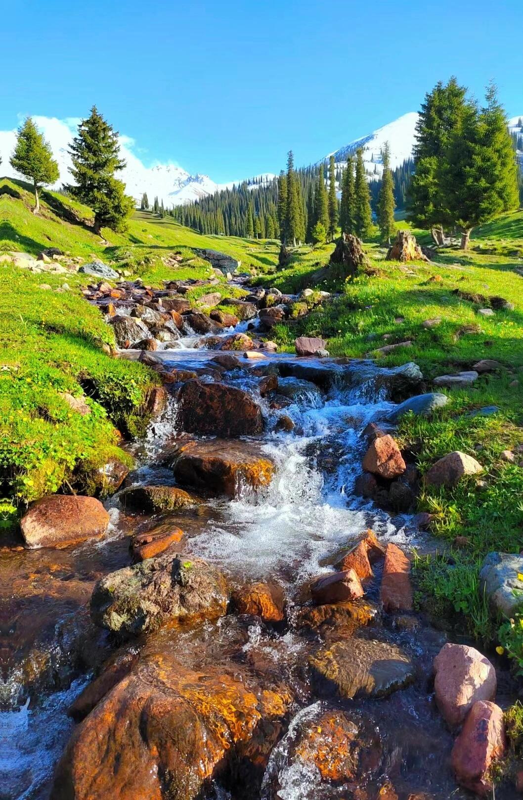 13418469758419456.jpeg 13418469758419456.jpeg