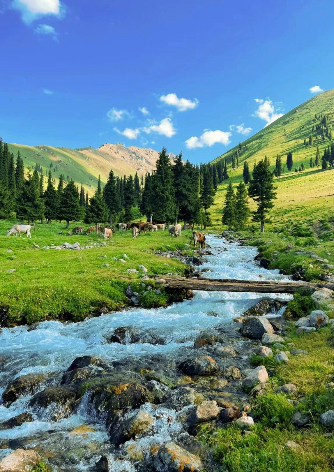 13418469767165955.jpeg 13418469767165955.jpeg