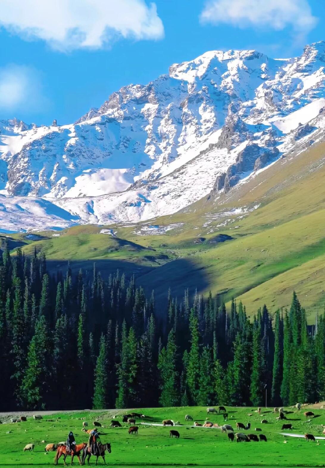 13418469777169674.jpeg 13418469777169674.jpeg