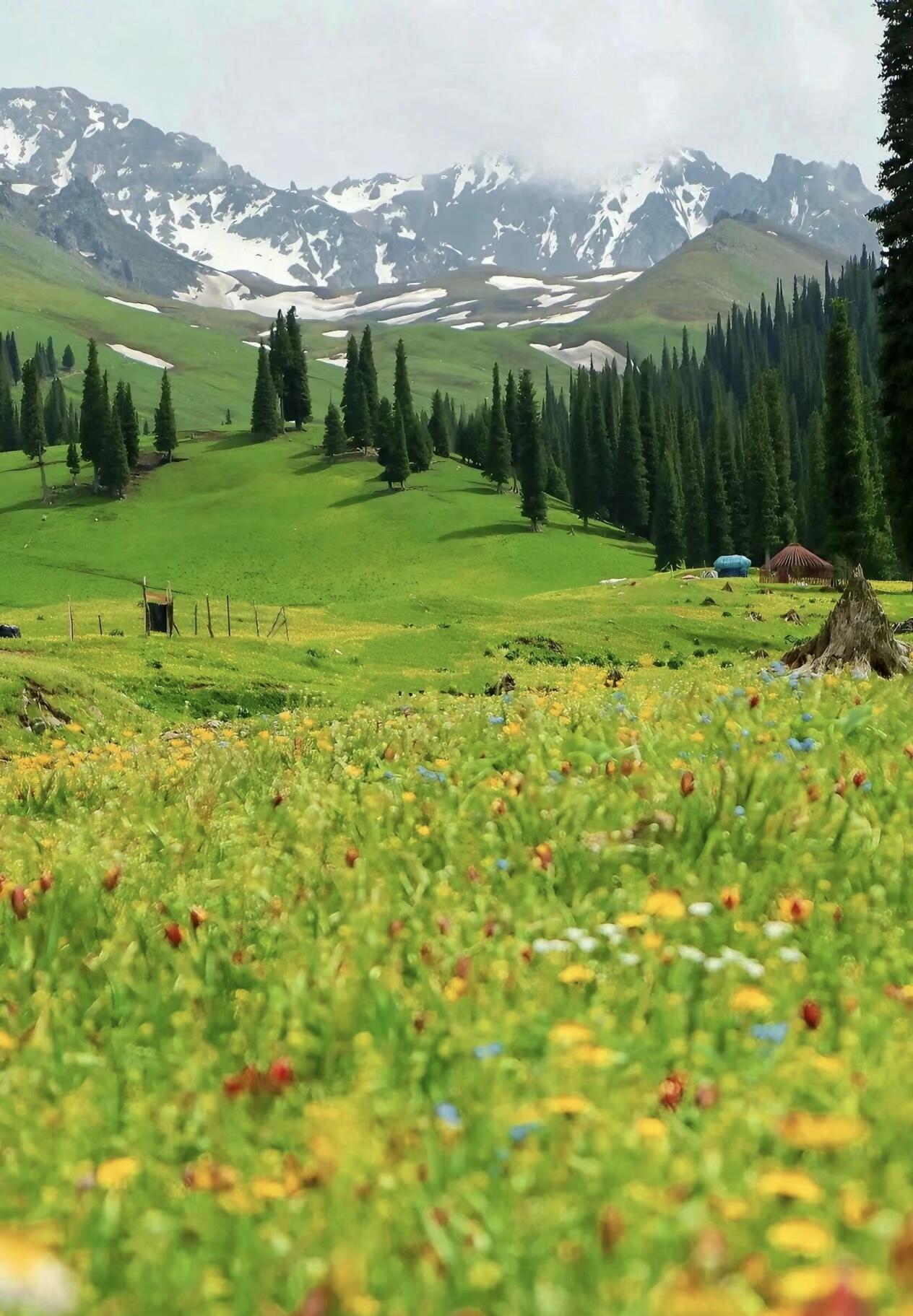 13418469771710770.jpeg 13418469771710770.jpeg