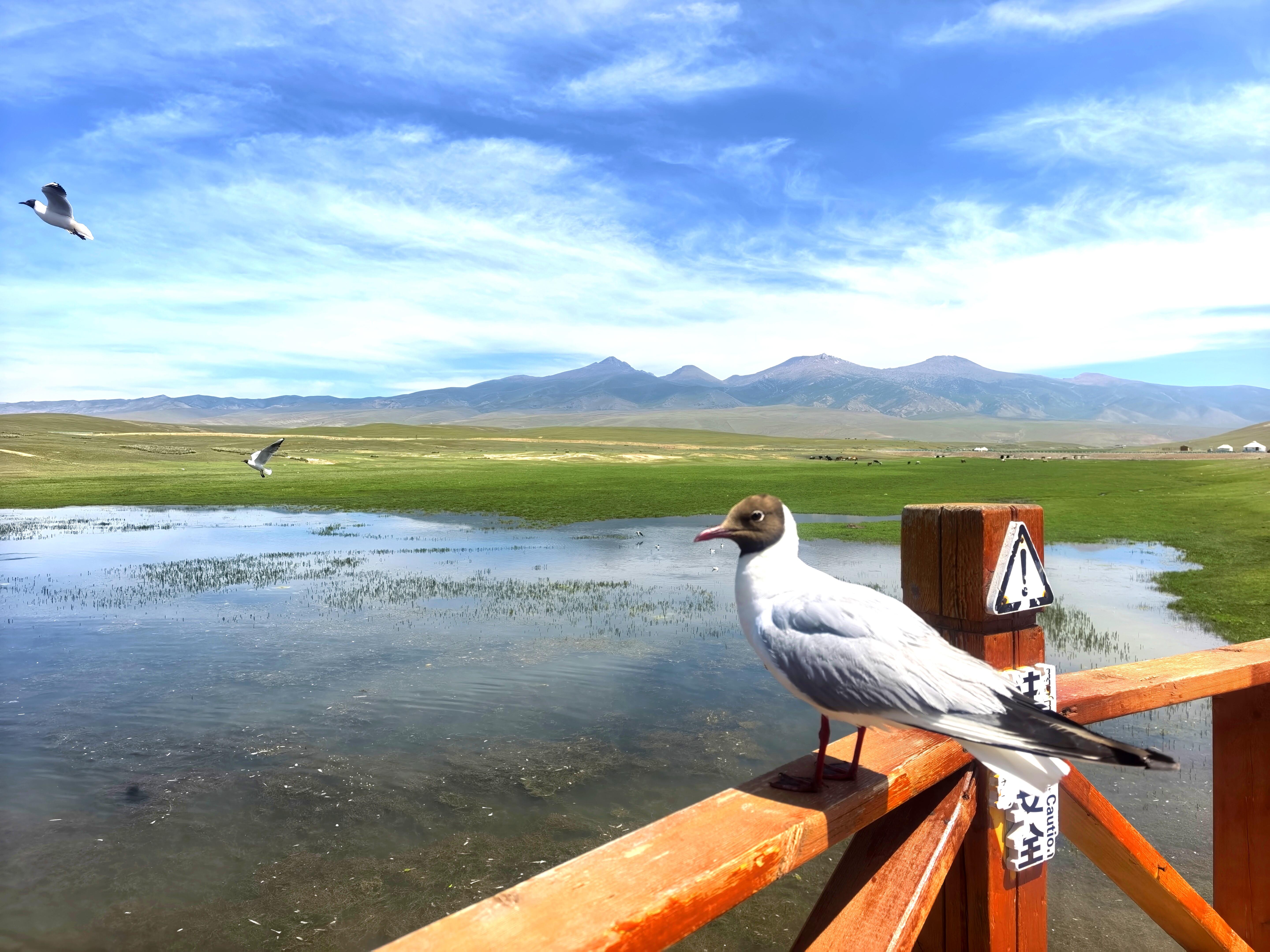 13418470836583741.jpeg 13418470836583741.jpeg