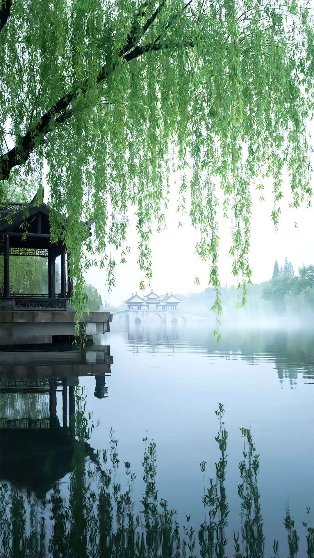 微信图片_20260413090552_16_461.jpg 微信图片_20260413090552_16_461.jpg